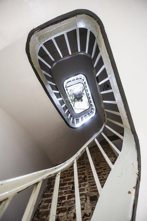 Les Chambres Du Petit Lion Bruxelles Eksteriør billede