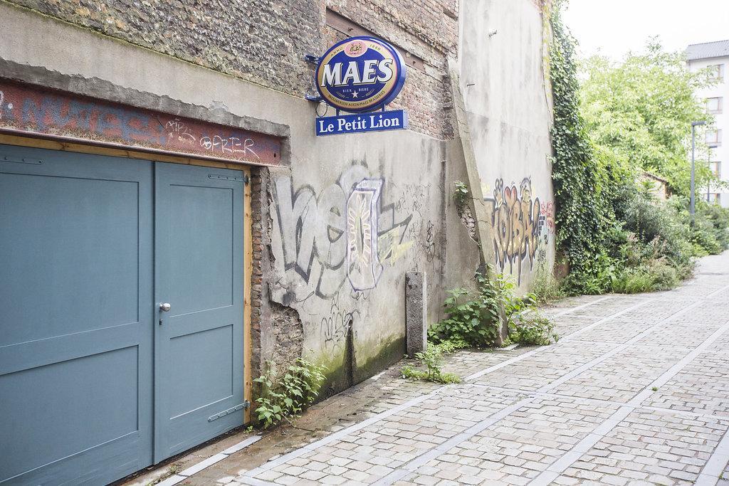 Les Chambres Du Petit Lion Bruxelles Eksteriør billede